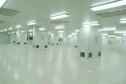 潔凈車(chē)間選擇指南——邁盛裝飾專(zhuān)業(yè)服務(wù)與高清案例